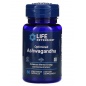   Life Extension Optimized Ashwagandha 60 