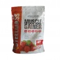 Гейнер Steeltime Nutrition Mass Gainer 1000 гр