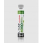 Л-карнитин FitRule L-Carnitine + Guarana 4000 25 мл